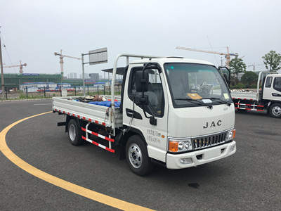 HFC1040P93K1B4V-S载货汽车燃油公告图片2