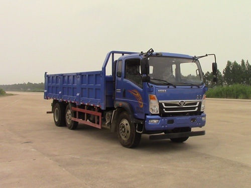 ZZ3258FC0EB0自卸汽车燃油公告图片2