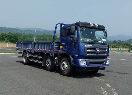 BJ1255VNPHE-FA载货汽车燃油公告图片2