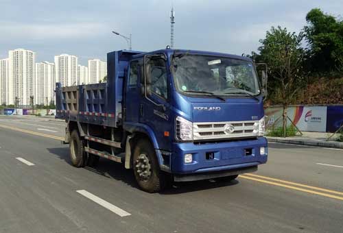 BJ3183DKPEA-FA自卸汽车燃油公告图片2