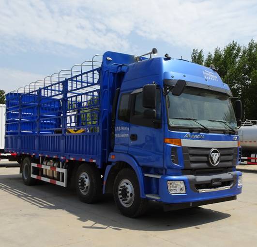 BJ5252CCY-AD仓栅式运输车燃油公告图片2
