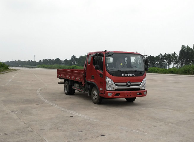 BJ1045V8JDA-FA载货汽车燃油公告图片2