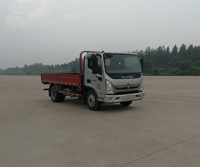 BJ1048V9JEA-FA载货汽车燃油公告图片2