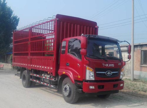 ZB5180CCYUPG3V仓栅式运输车燃油公告图片2
