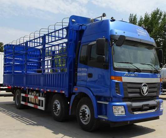 BJ5252CCY-AD仓栅式运输车燃油公告图片2