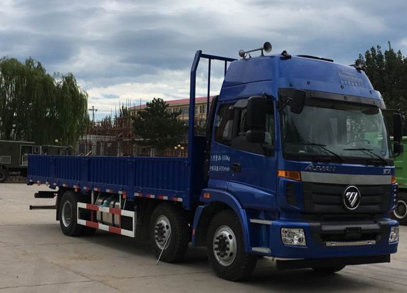 BJ1252VMPHH-AD载货汽车燃油公告图片2