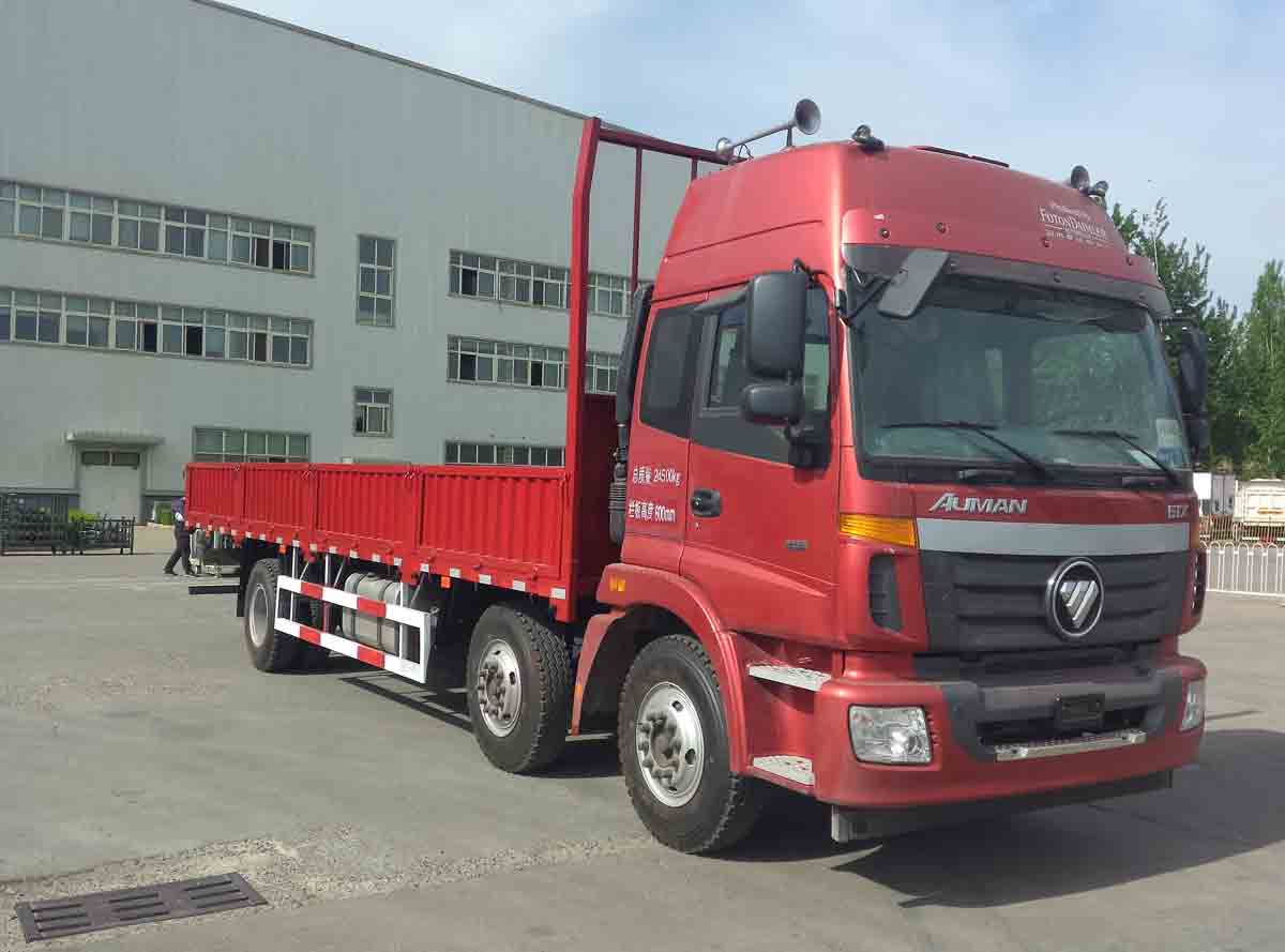 BJ1252VMPHH-AD载货汽车燃油公告扩展图片4