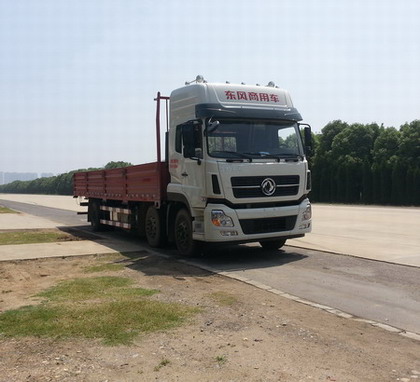 DFH1250AX2A载货汽车燃油公告图片2