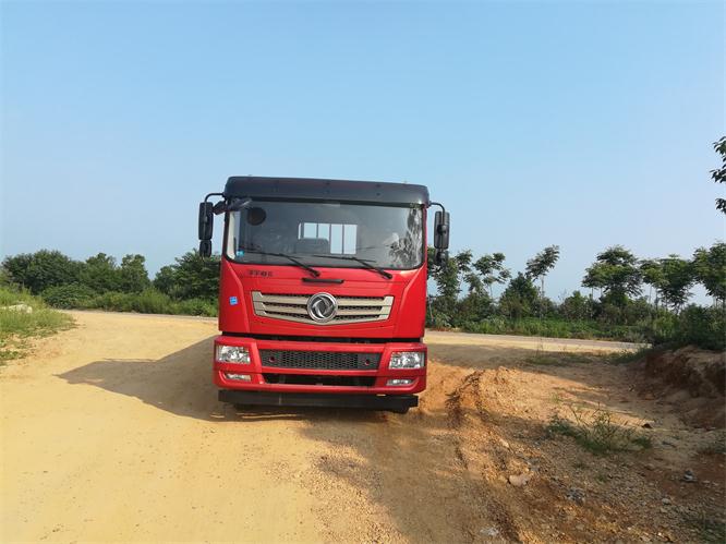 EQ1168GLV1载货汽车燃油公告图片1