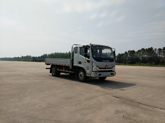 BJ1048V9JEA-FA载货汽车燃油公告图片2