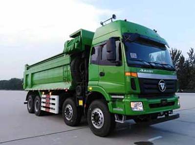 BJ3313DMPKC-AB自卸汽车燃油公告图片2
