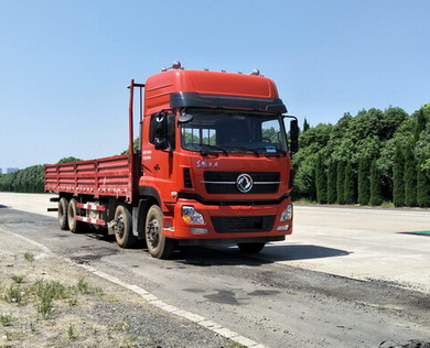 DFH1310A1载货汽车燃油公告图片2