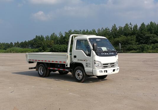 BJ3042D8JB5-FA自卸汽车燃油公告图片2