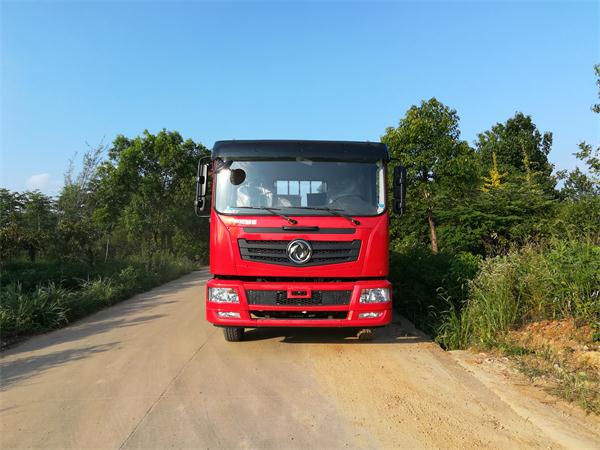 EQ1168GLV1载货汽车燃油公告图片1