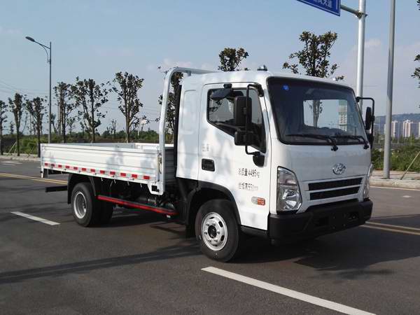 CHM1043GDC33V载货汽车燃油公告图片2