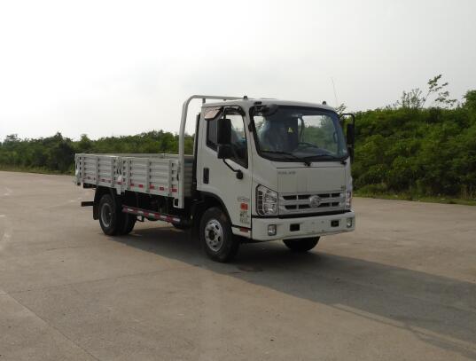 BJ1043V9JBA-FG载货汽车燃油公告图片2