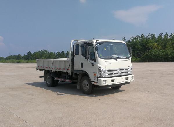 BJ1043V9PEA-FG载货汽车燃油公告图片2