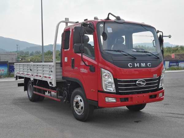 CNJ1041ZDB33V载货汽车燃油公告图片2