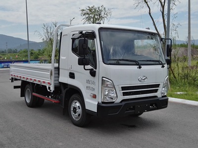 CHM1042GDC33V载货汽车燃油公告图片2