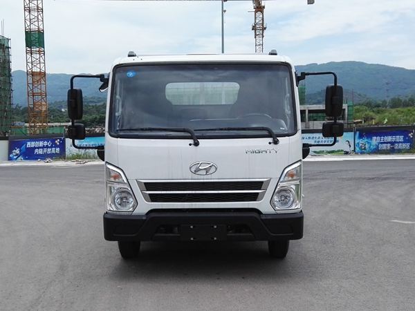 CHM1042GDC33V载货汽车燃油公告图片1