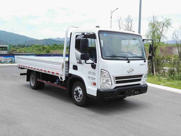 CHM1042GDC33V载货汽车燃油公告图片2