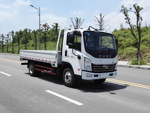 CNJ1080ZDB33V载货汽车燃油公告图片2