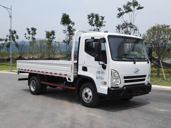 CHM1043GDC33V载货汽车燃油公告图片2