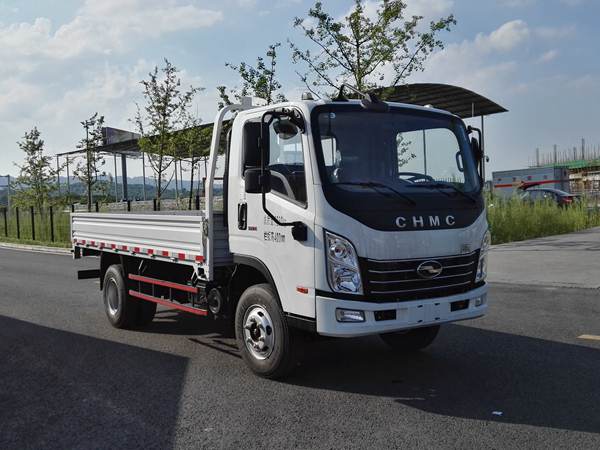 CNJ1080ZDB33V载货汽车燃油公告图片2