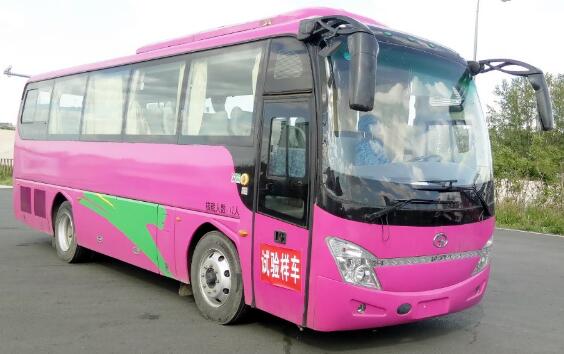 SLG6900C5ER客车燃油公告图片2