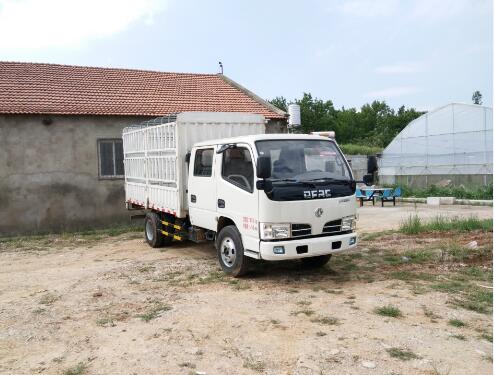 EQ5070CCYD3BDFAC仓栅式运输车燃油公告图片2