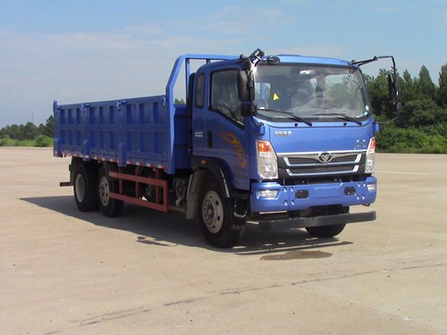 ZZ3258FC0EB1自卸汽车燃油公告图片2