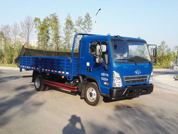 CHM1050GDC38V载货汽车燃油公告图片2