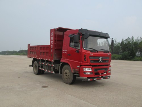 SX3120GP5自卸汽车燃油公告图片2