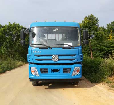 EQ1166GF1载货汽车燃油公告图片1