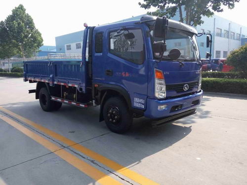 SSF1041HDJ75载货汽车燃油公告图片2