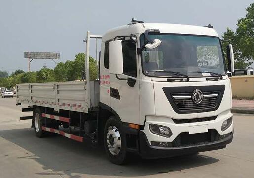 DFH1160E载货汽车燃油公告图片2