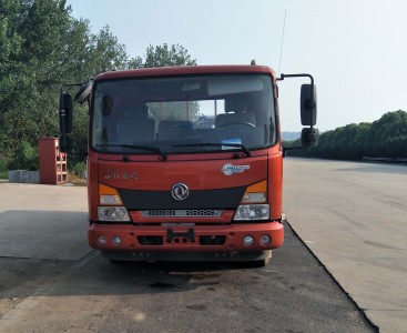 DFH1100BX5载货汽车燃油公告图片1