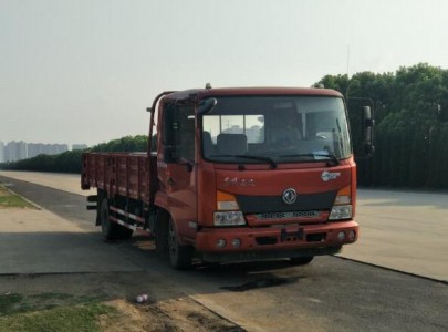 DFH1100BX5载货汽车燃油公告图片2