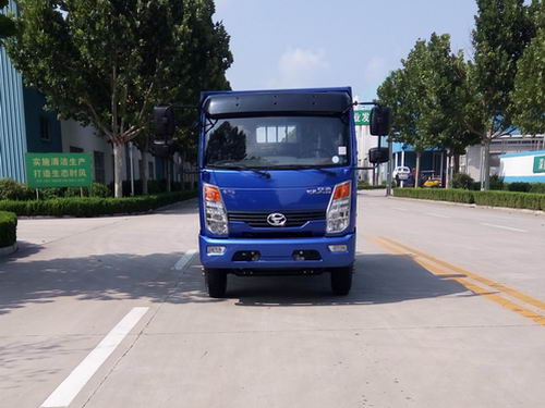SSF3081DHJ63自卸汽车燃油公告图片1