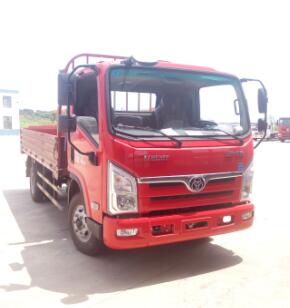 STQ1043L02Y1N5载货汽车燃油公告图片2
