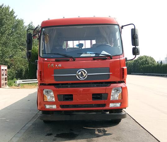 DFH1250BX2V载货汽车燃油公告图片1