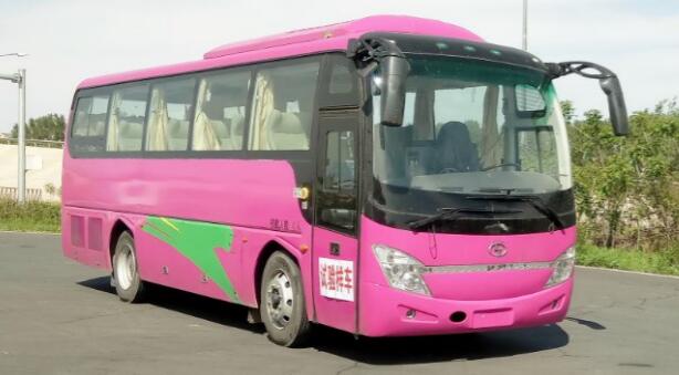 SLG6900C5ER客车燃油公告图片2