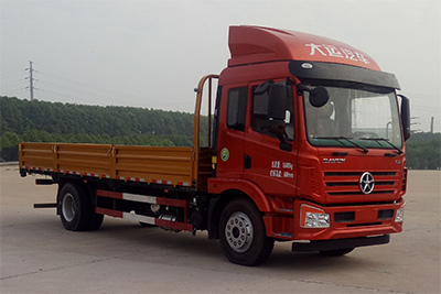 DYQ1180D5AB载货汽车燃油公告图片2