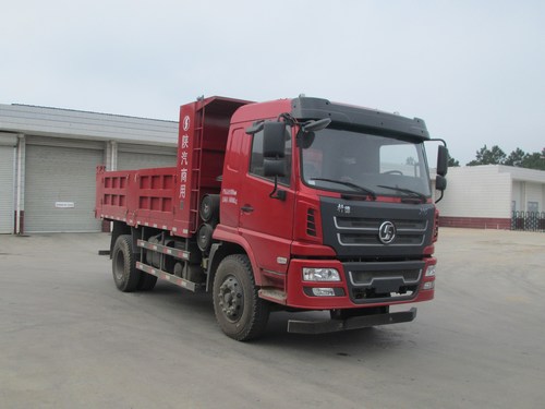 SX3160GP5自卸汽车燃油公告图片2