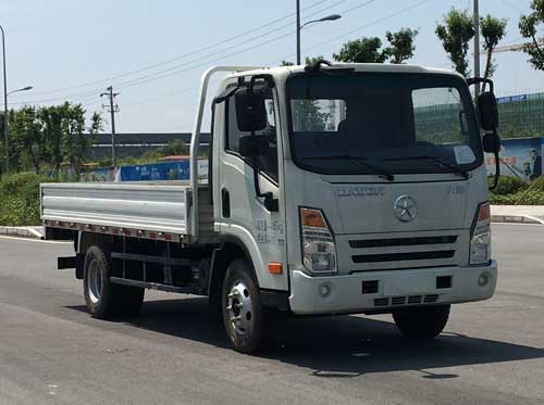 CGC1048HDC33E载货汽车燃油公告图片2