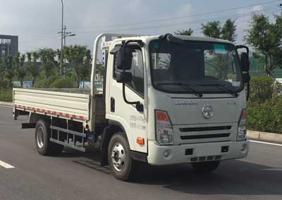 CGC1048HDC33E载货汽车燃油公告图片2