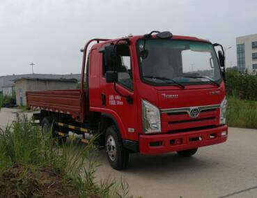 STQ1043L02Y1N5载货汽车燃油公告图片2