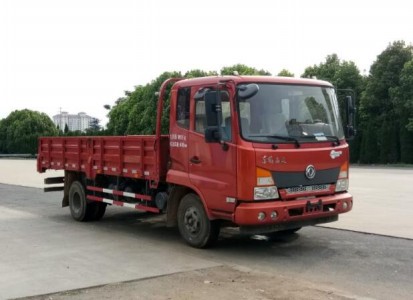 DFH1040BX5载货汽车燃油公告图片2