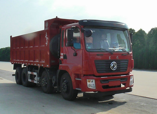 DFZ3310GSZ5D2自卸汽车燃油公告图片2