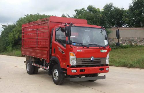 CDW5081CCYH1R5仓栅式运输车燃油公告图片2